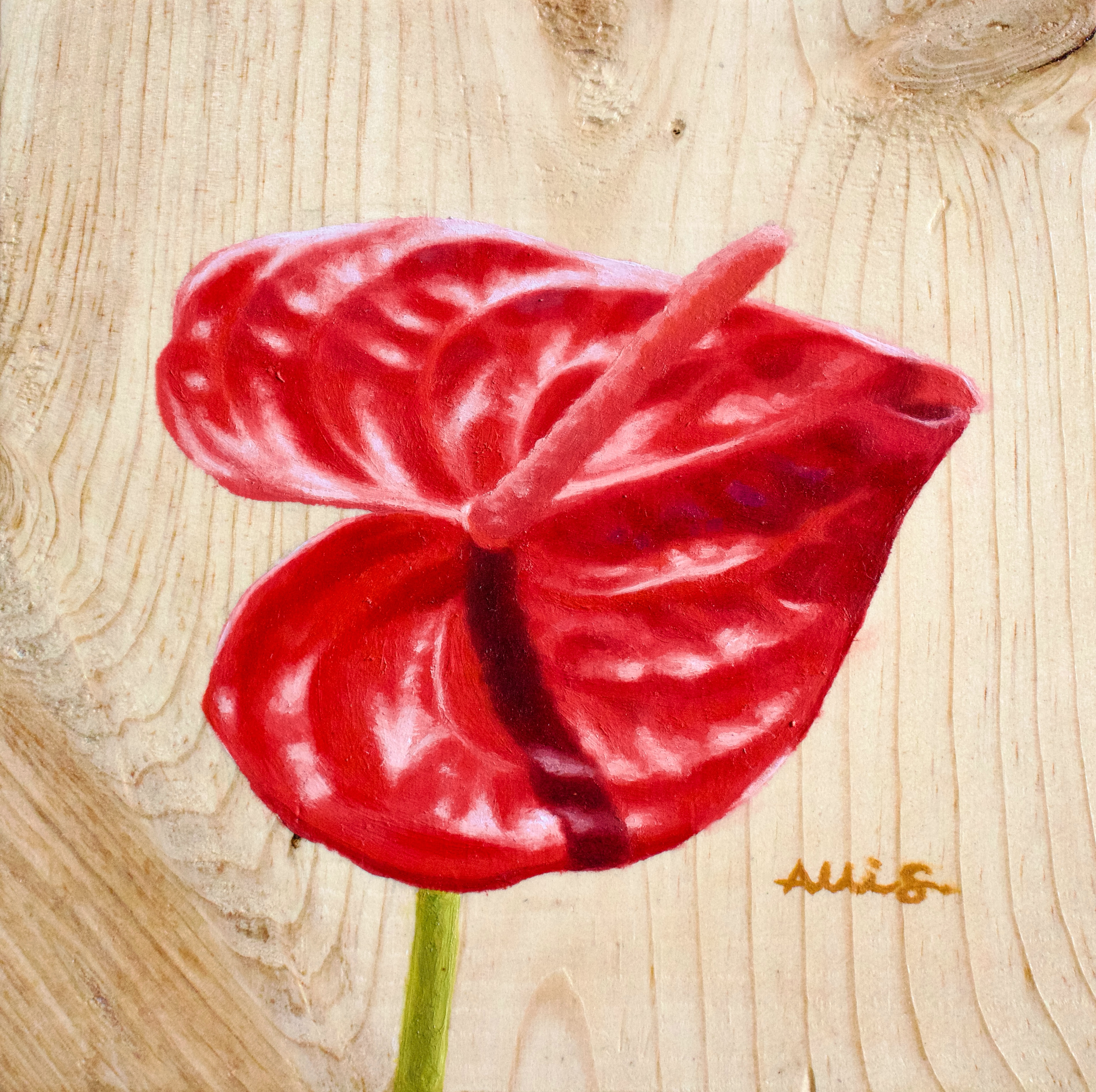 'Aloha Red' Original