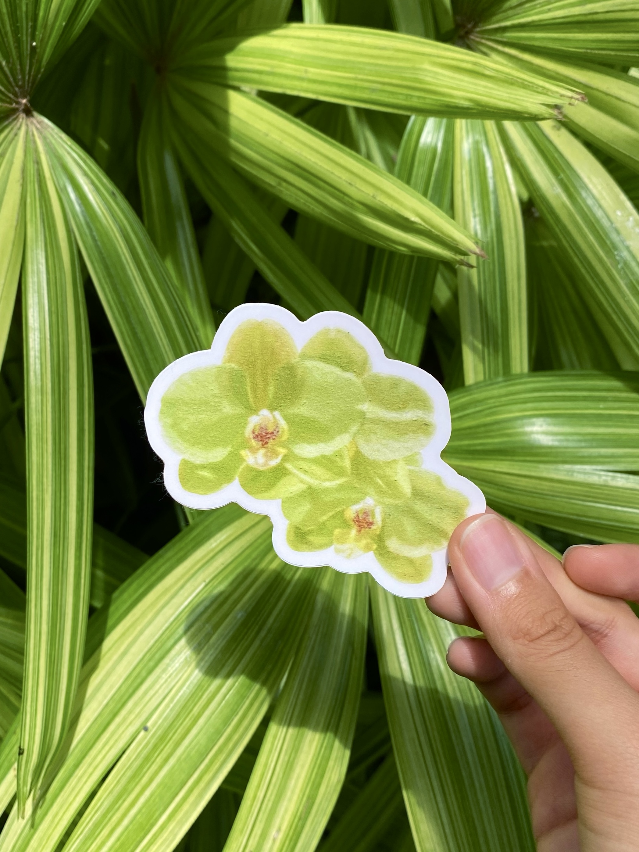 Vinyl Stickers