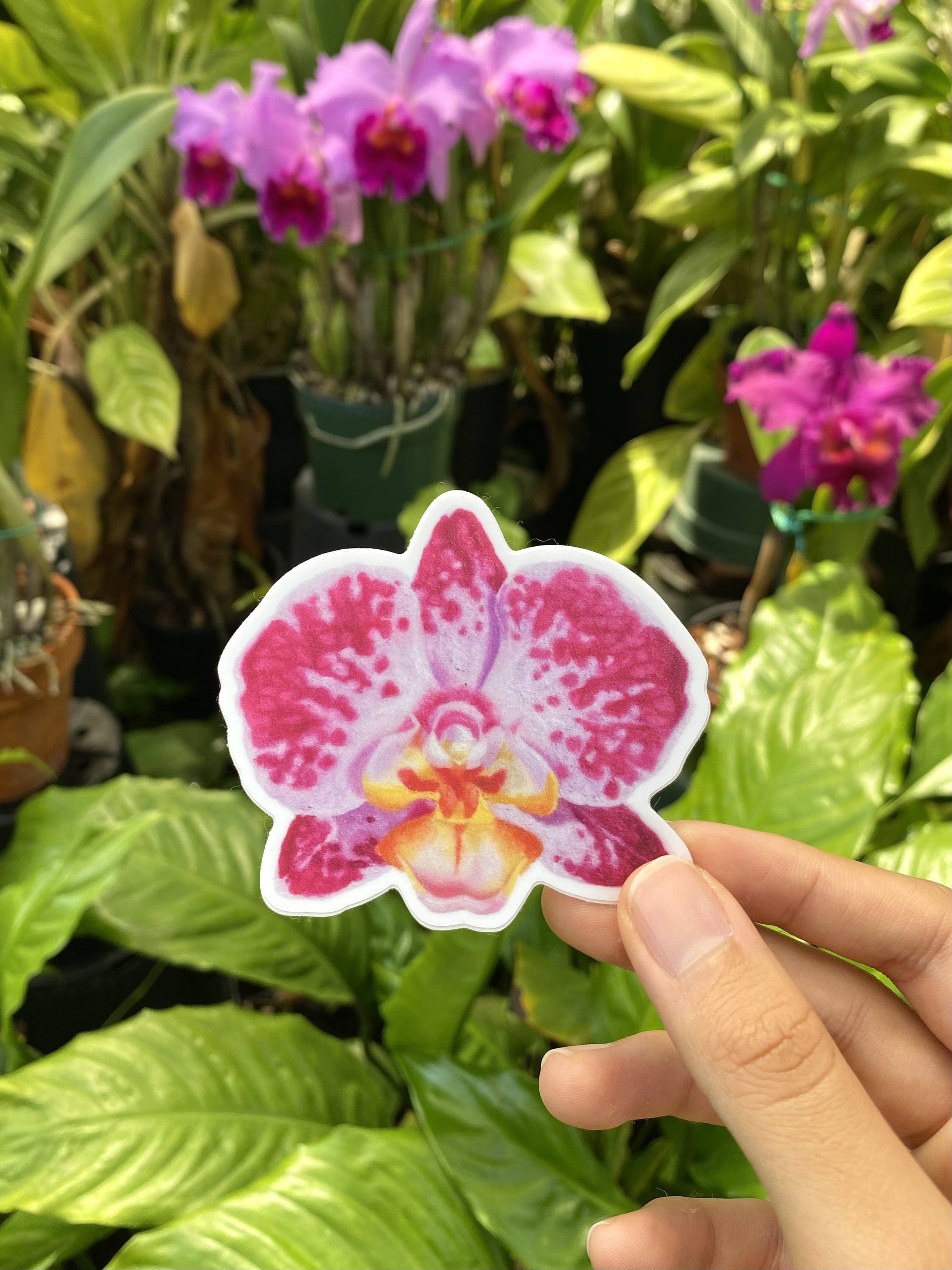 Vinyl Stickers
