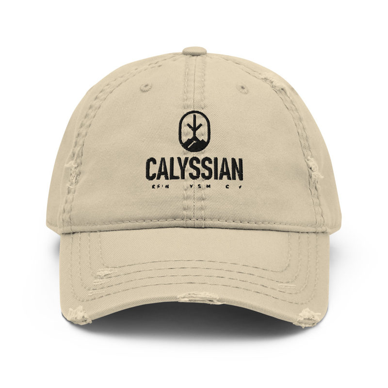 Distressed Dad Hat