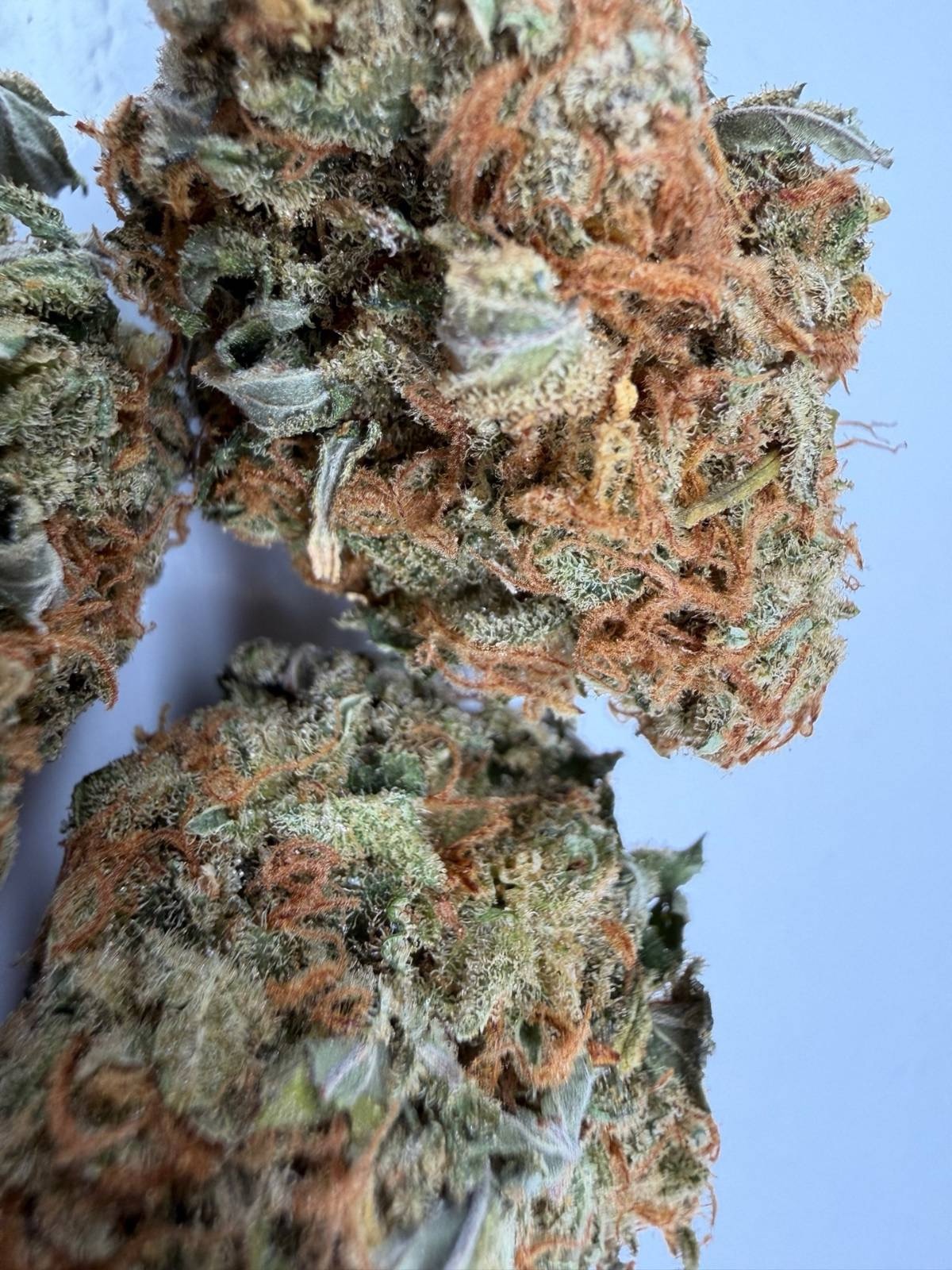 Super Lemon Haze