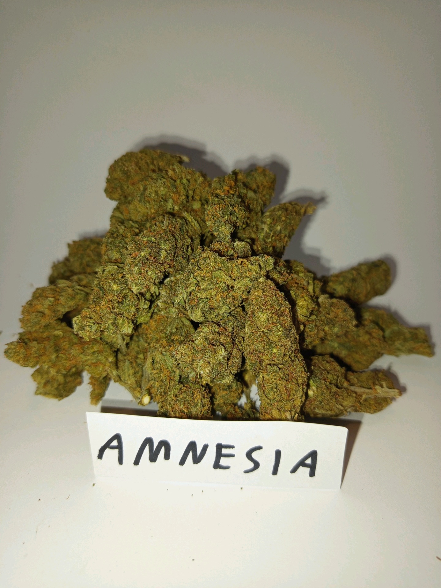 Amnesia Haze