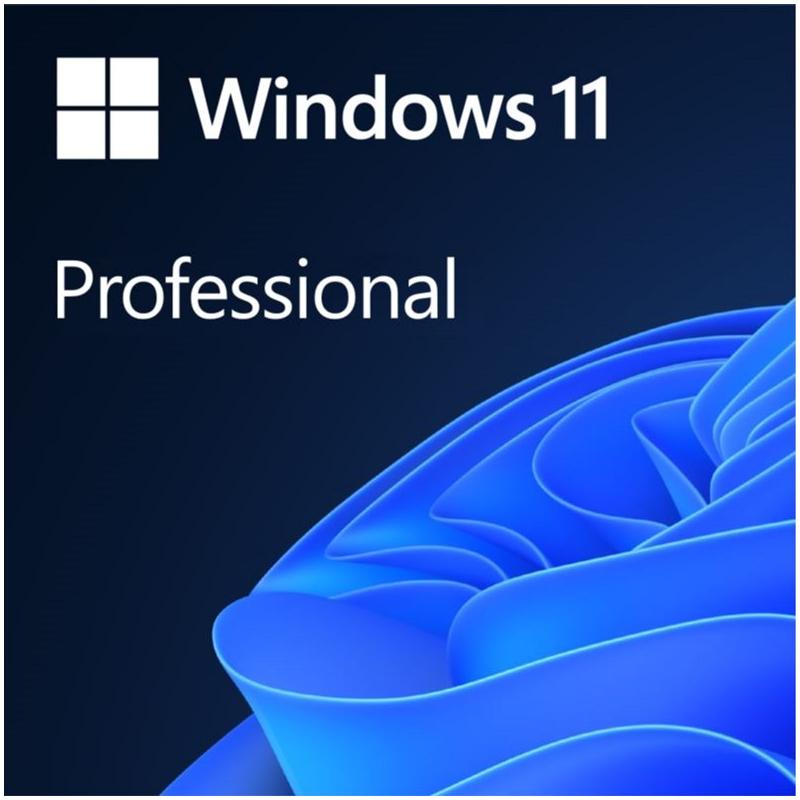 Windows 11 Professional
