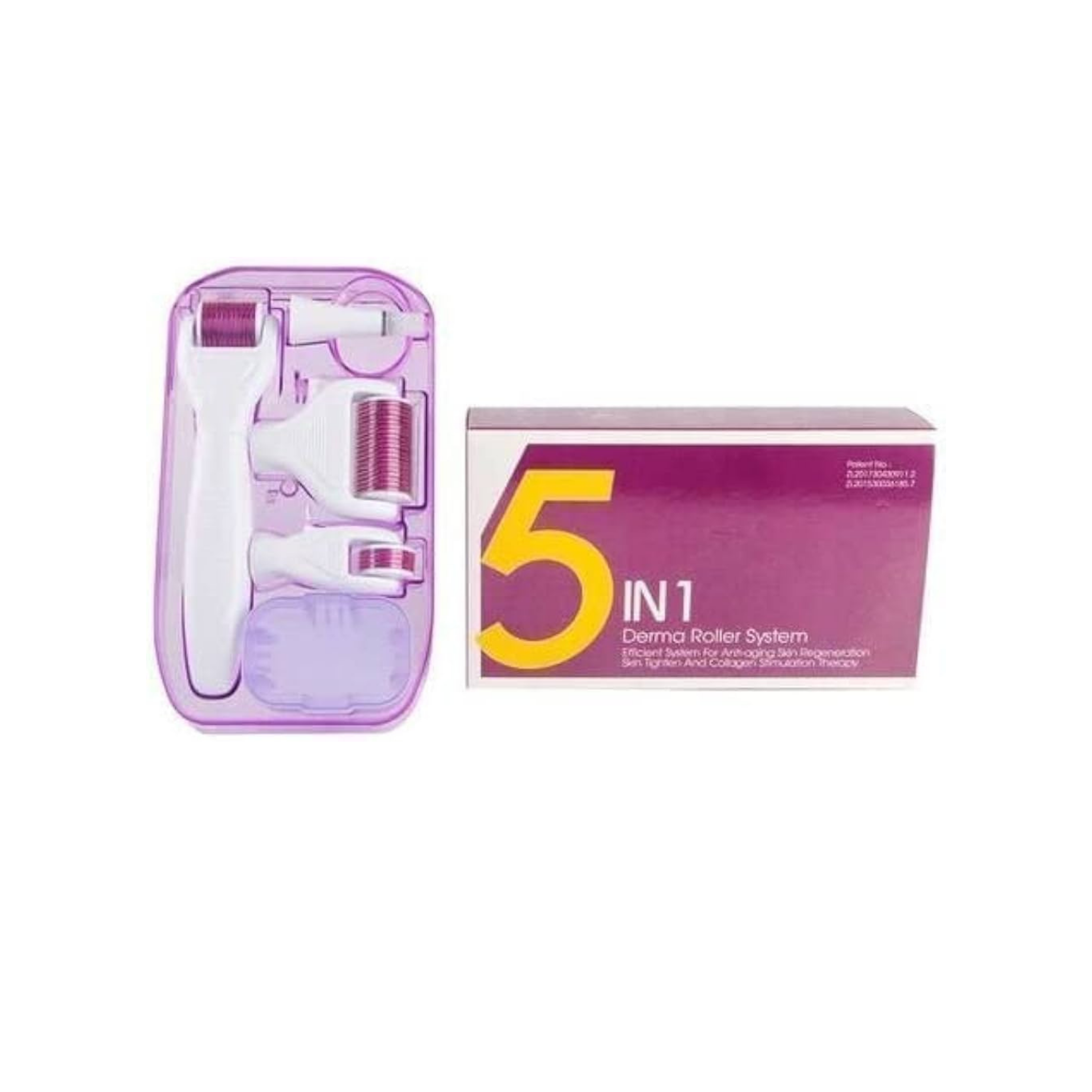 5 in 1 Derma Roller System