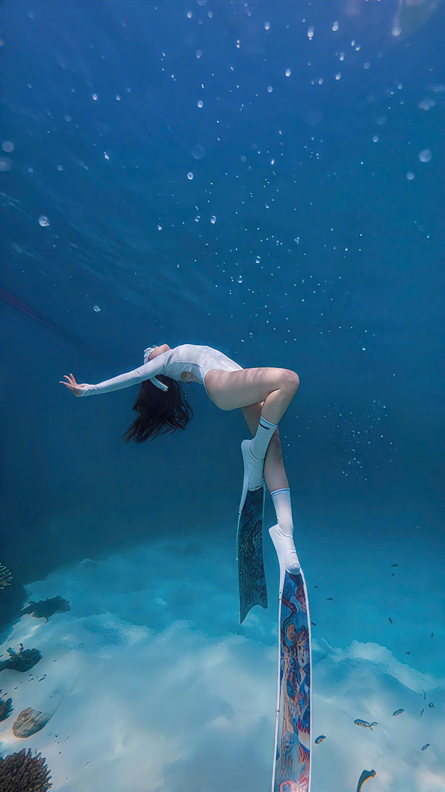 Tour Lặn Khám Phá Freediving