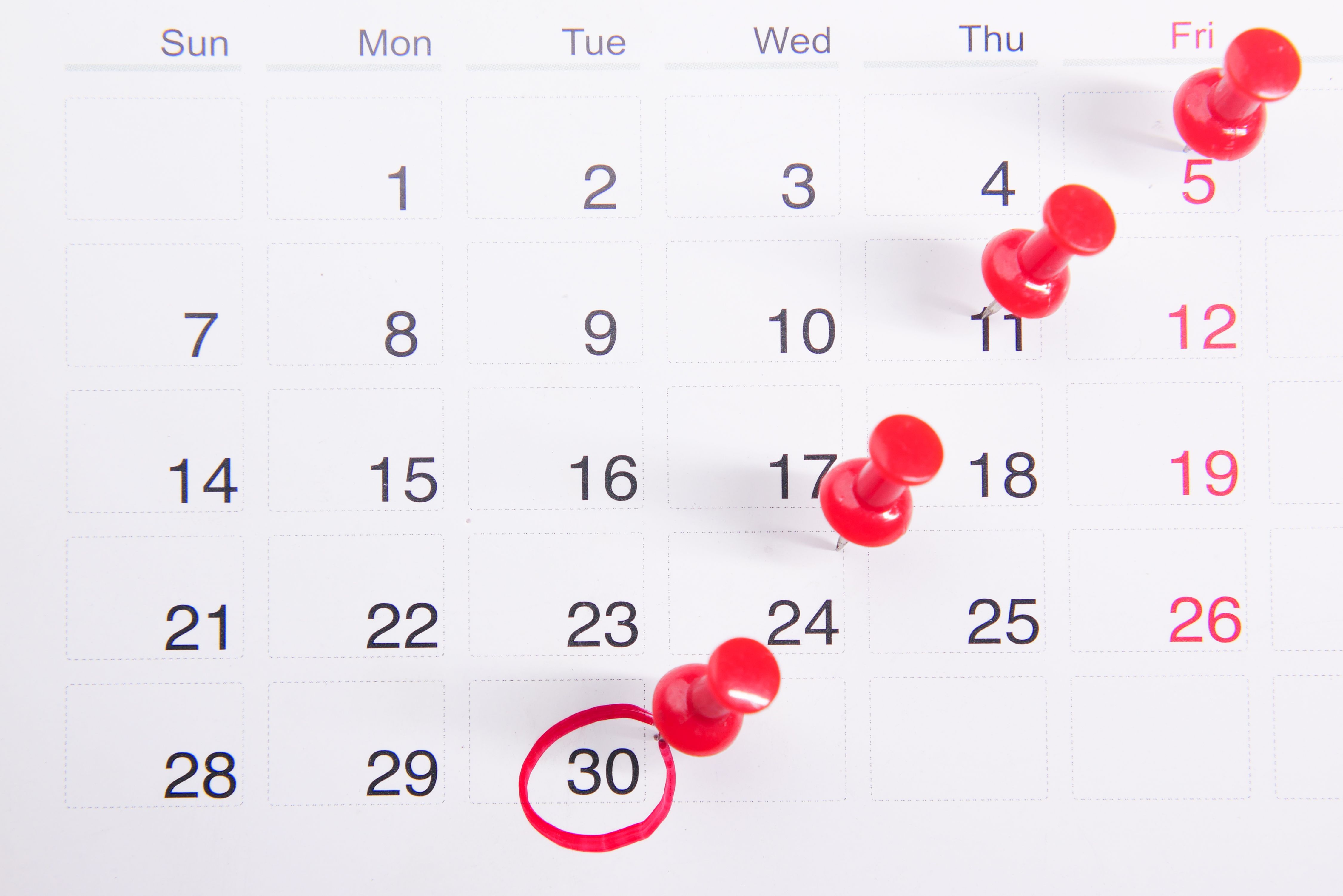 Schedule a Free Site Visit
