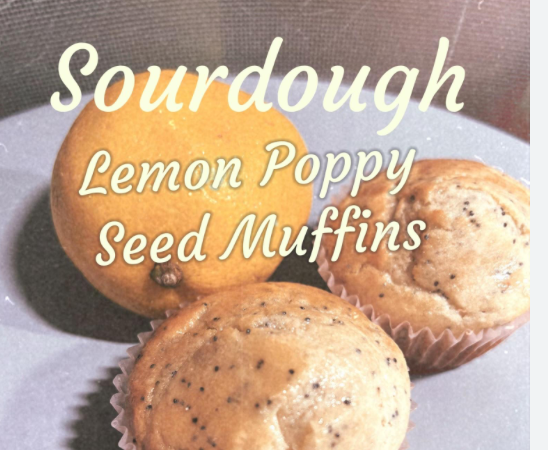 Lemon Poppy Seed