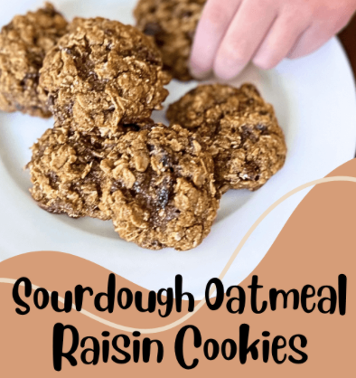Oatmeal Raisin