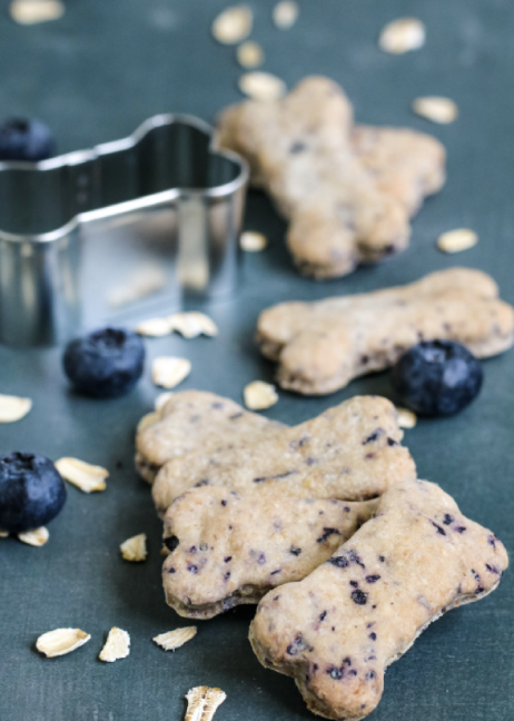 Blueberry & Oat Dog Biscuits
