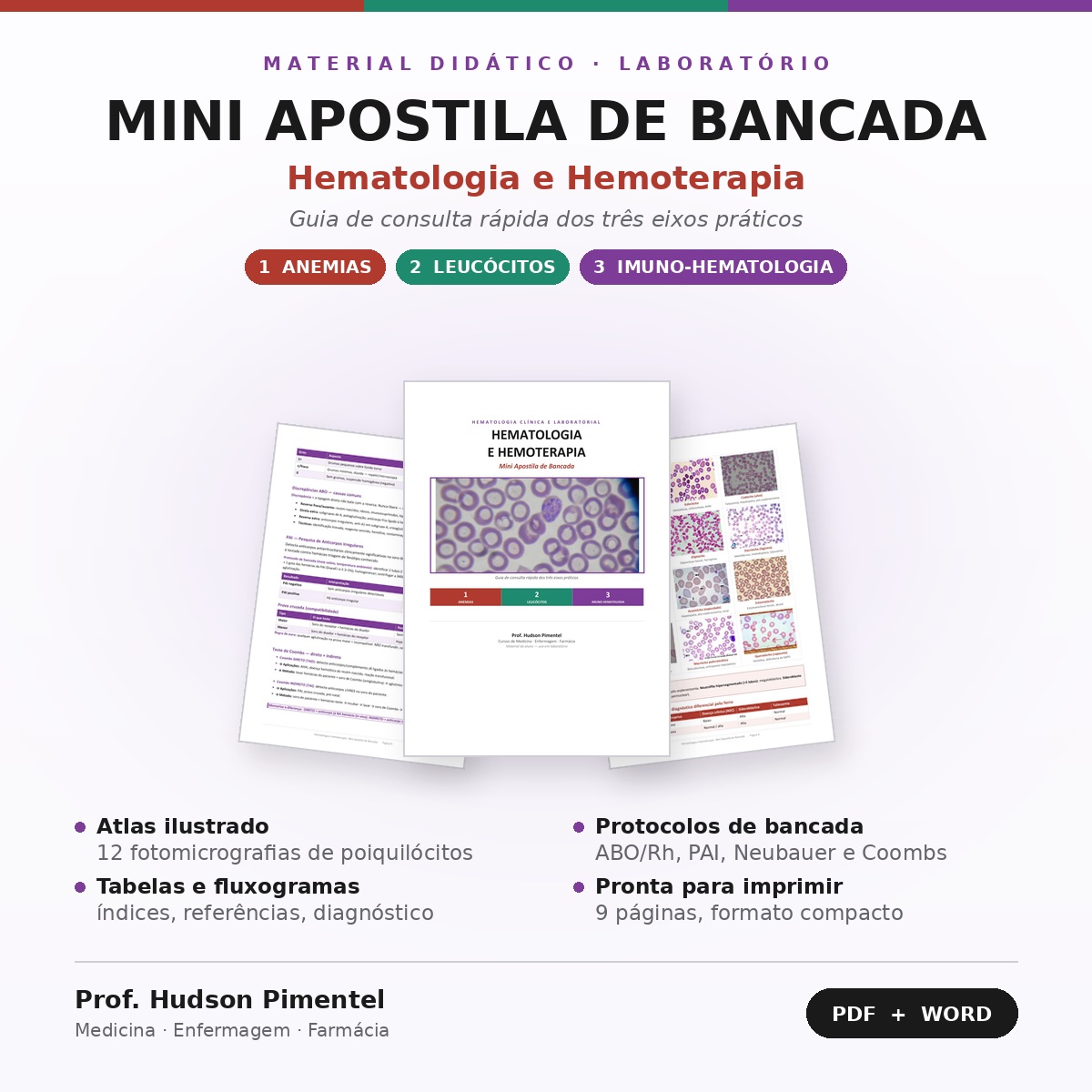 Hematologia e Hemoterapia: Mini Apostila de Bancada 