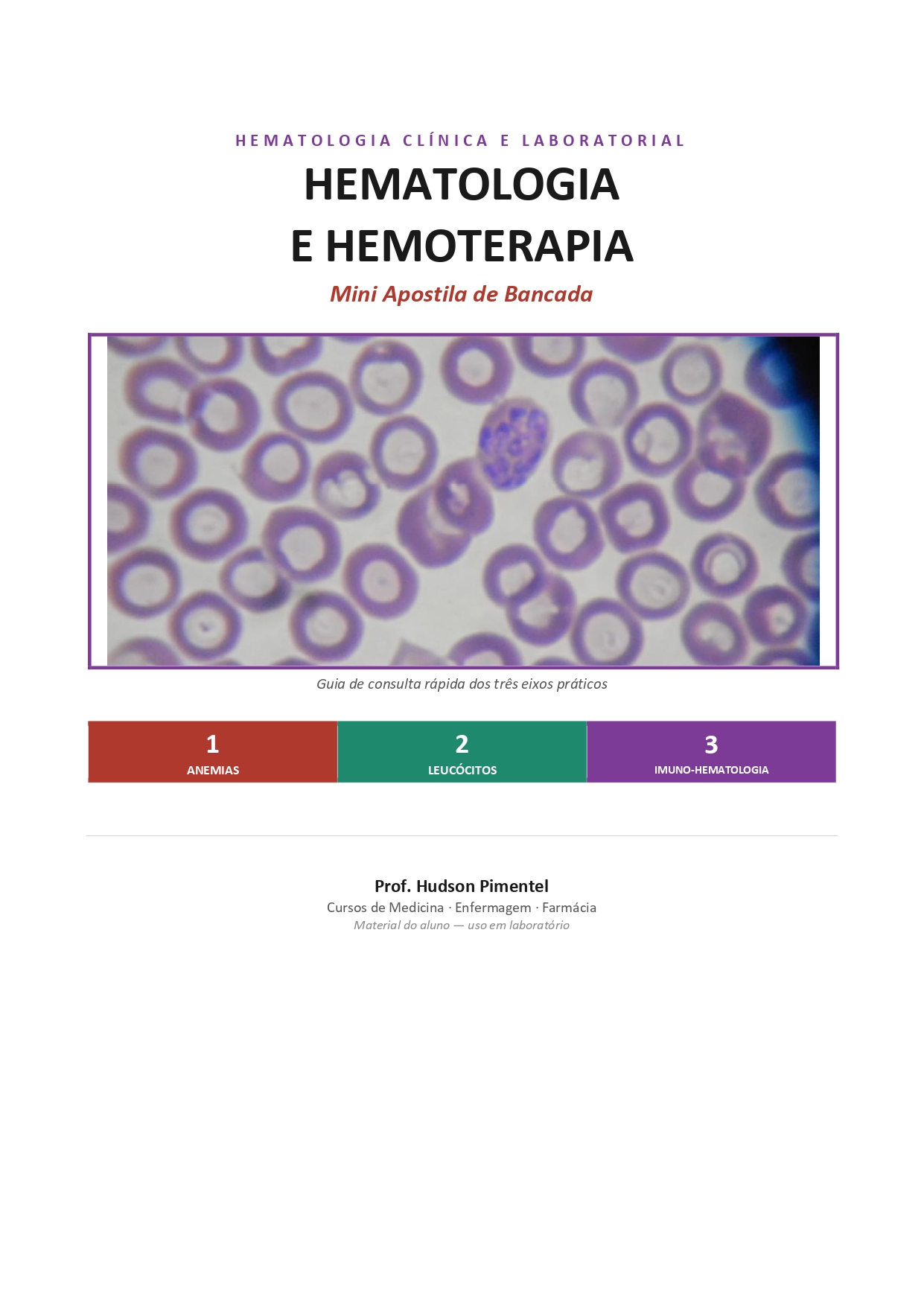 Hematologia e Hemoterapia: Mini Apostila de Bancada 