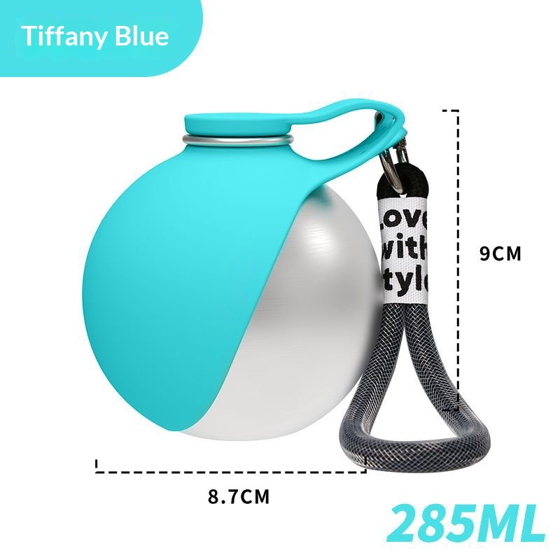 Water Bottle for Dogs and Cats