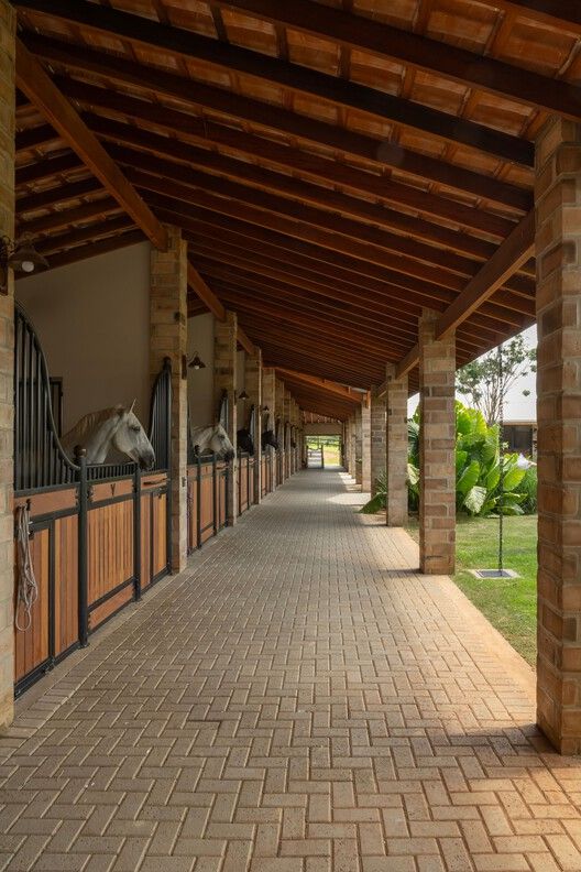 Plano haras