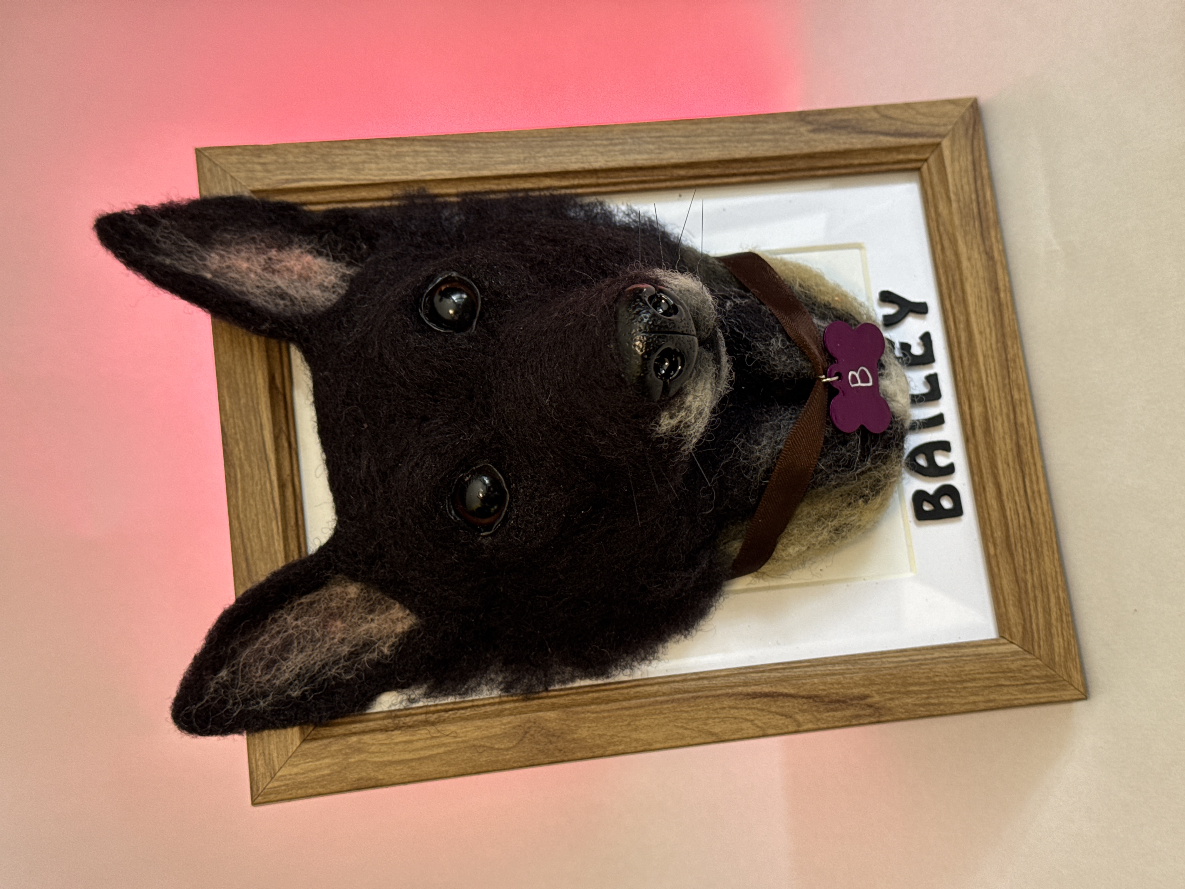 Cuadro de Mascota Pelo Corto (Pequeño)