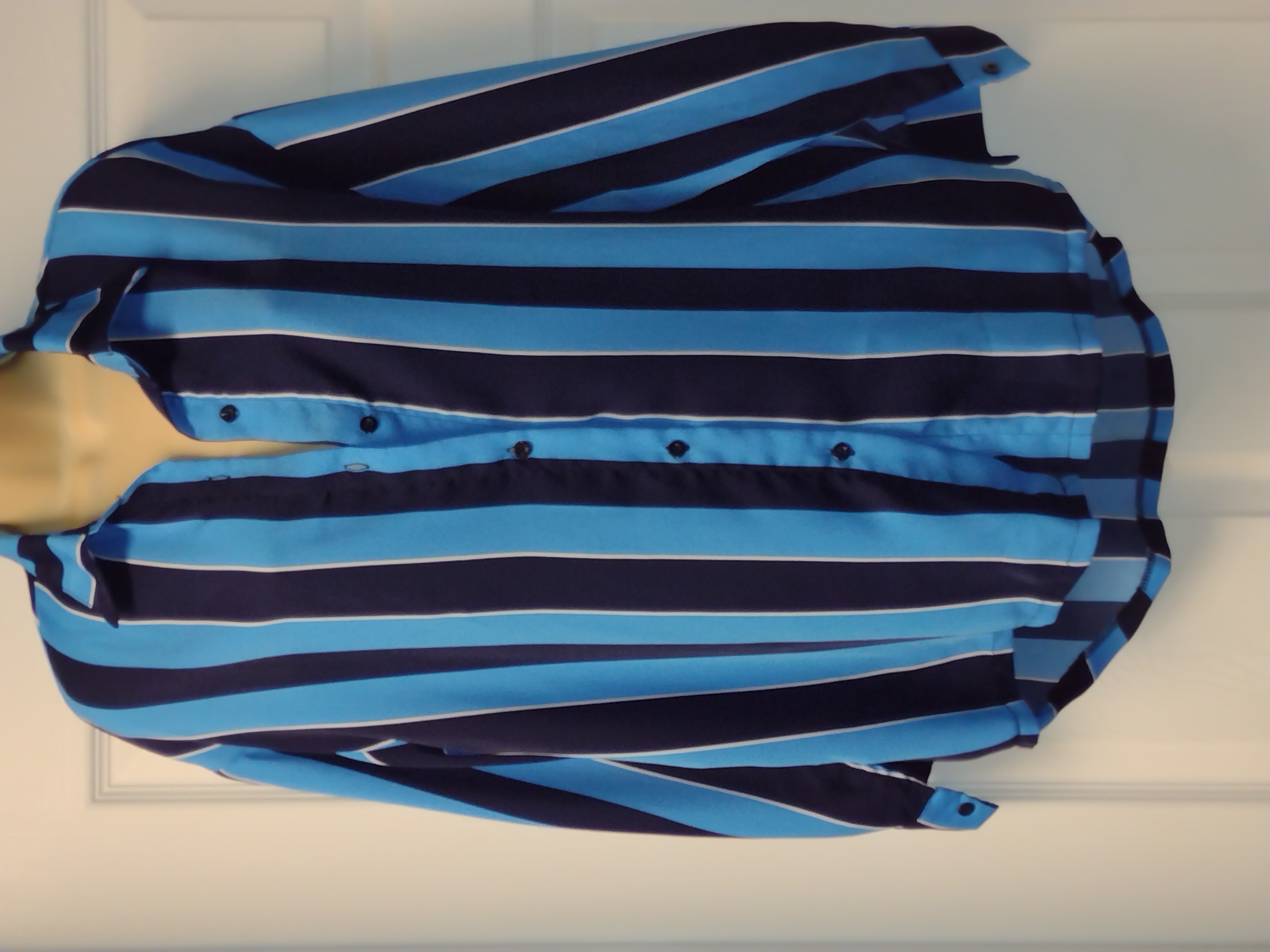 Blue Striped Button-Up Shirt
