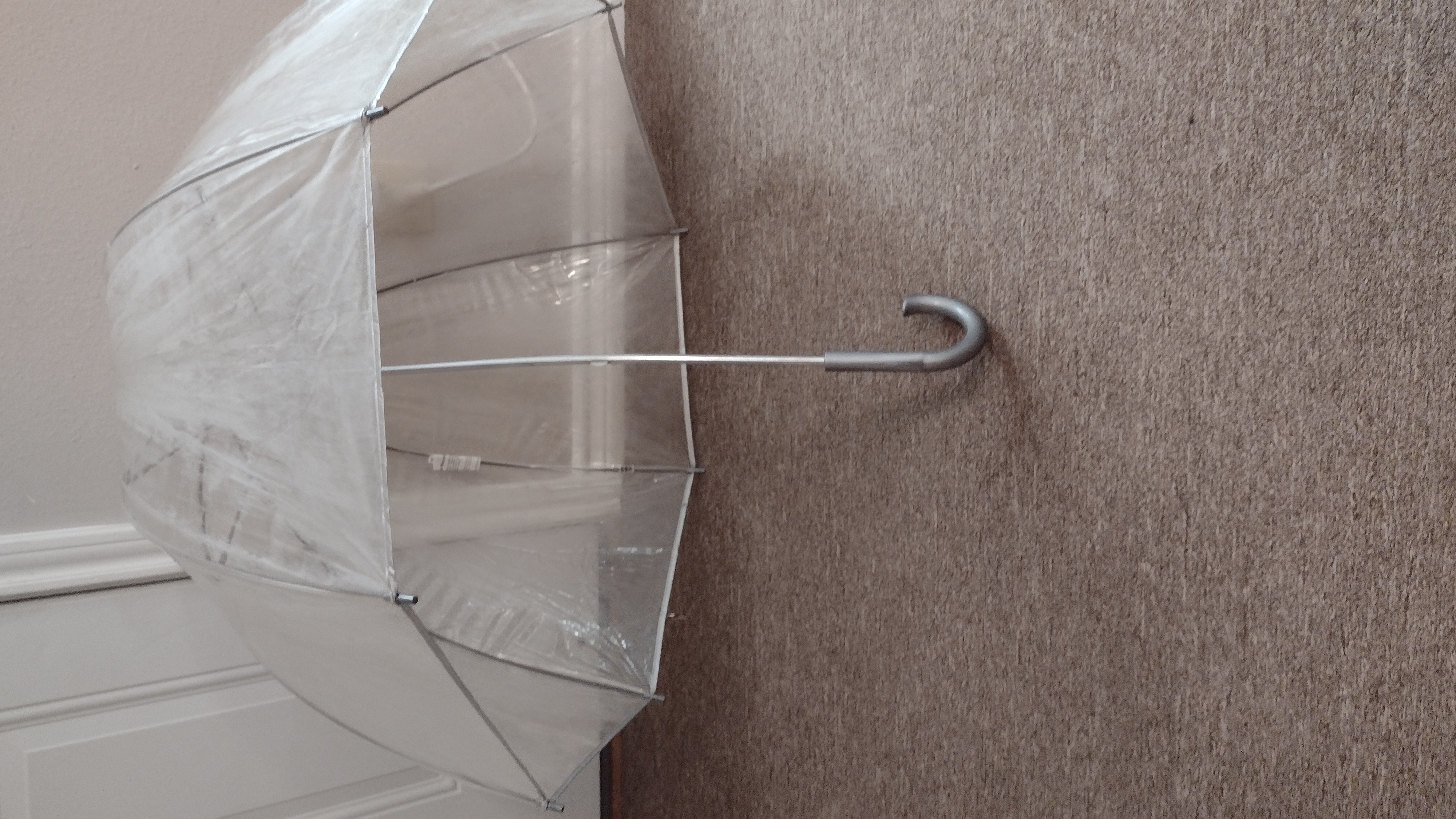 Clear Dome Umbrella