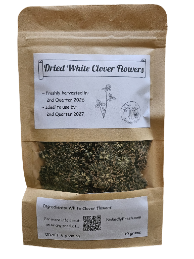 Dried White Clover