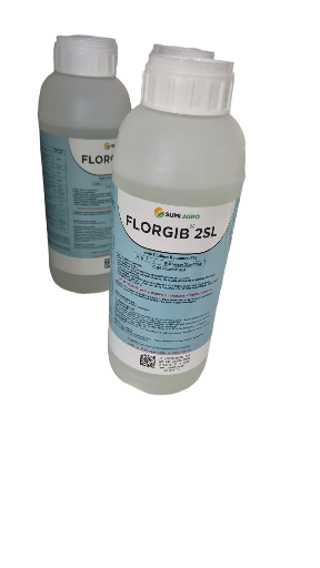 FLORGIB 2SL 