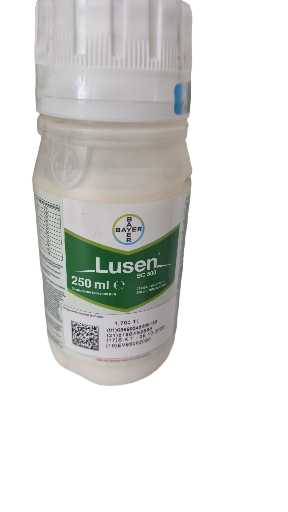 Lusen SC 500