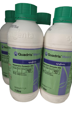 Quadris Maxx