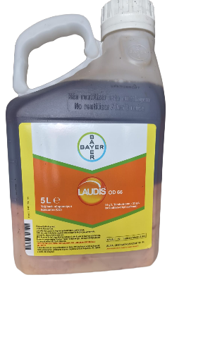 Bayer Laudis OD 65 