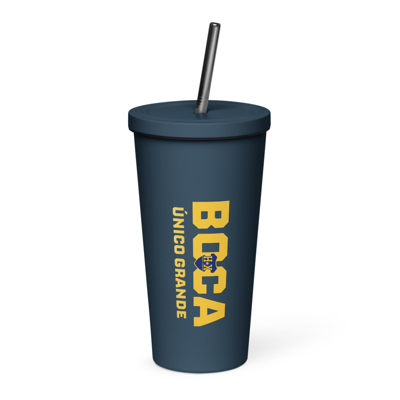 Insulated tumbler with a straw BOCA
