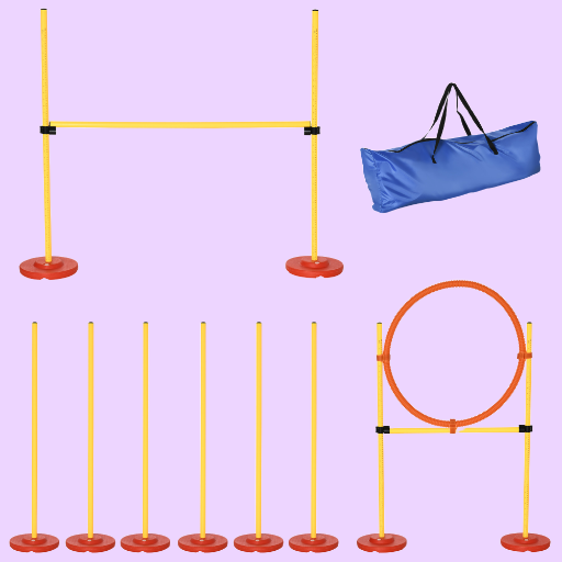 Agility Training Set