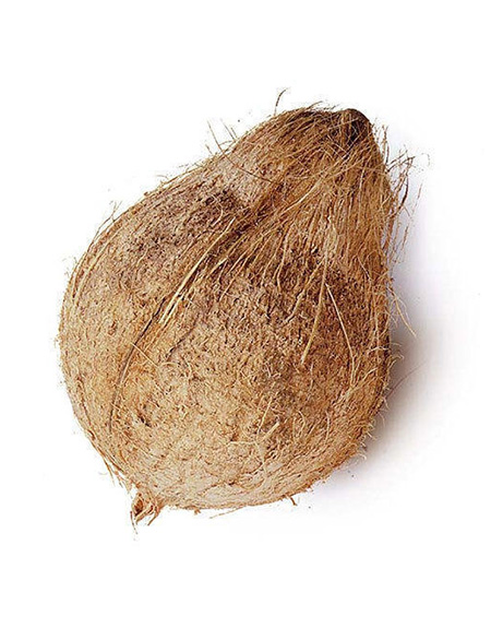 Whole Fresh Coconut