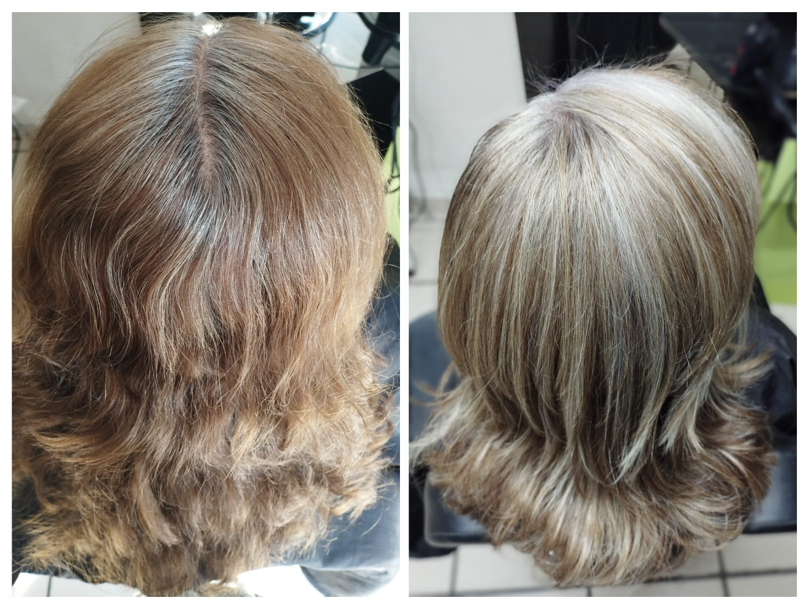 Transición de canas