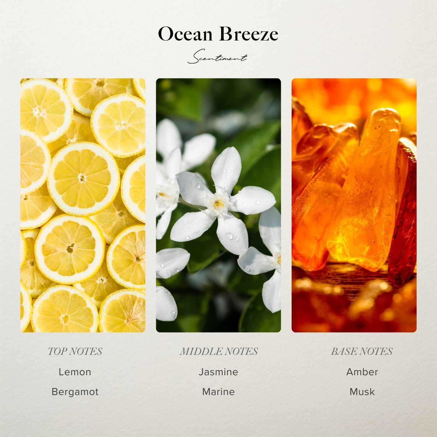 Scentiment Ocean