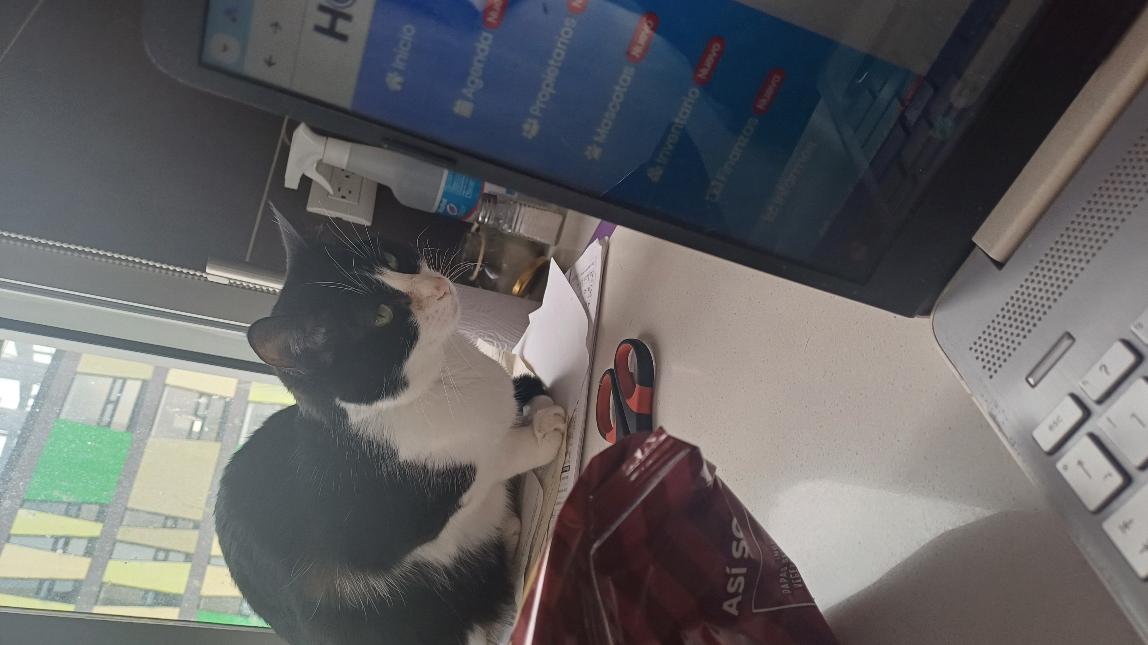 Consulta Veterinaria