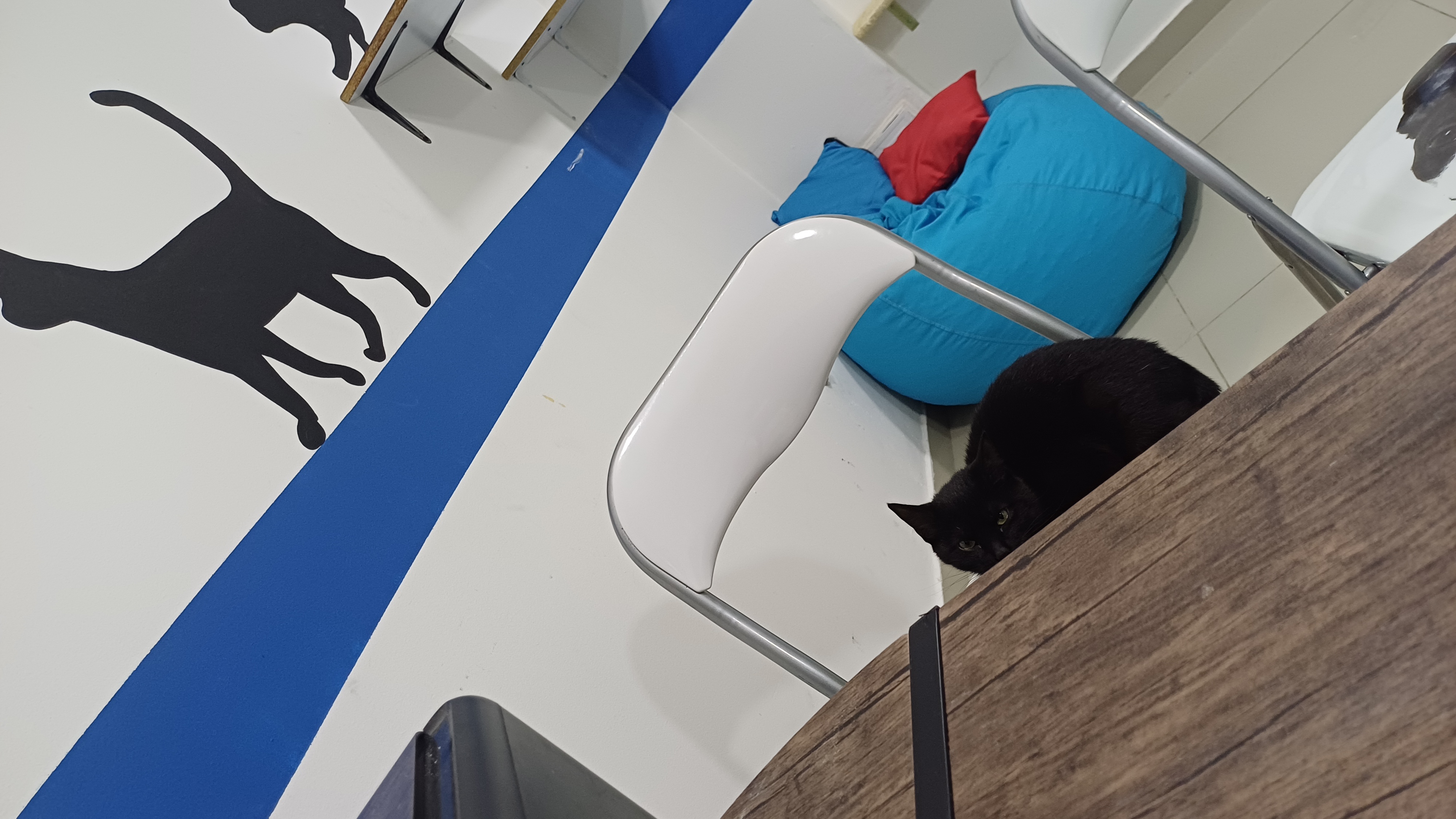 Laboratorio Veterinario