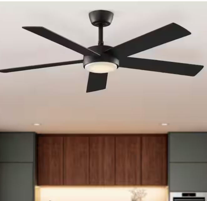 Modern Black Ceiling Fan