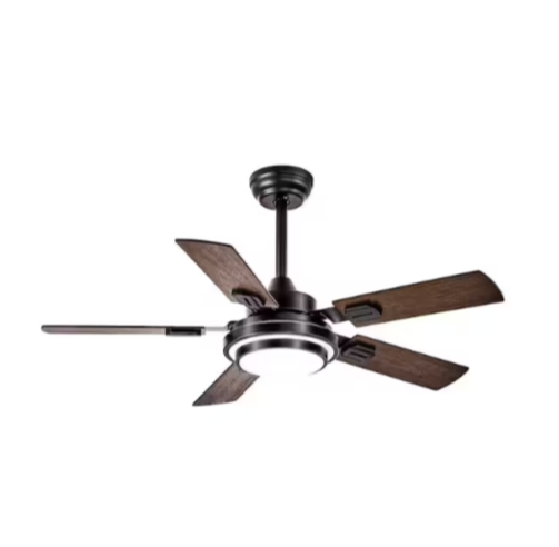 Modern Ceiling Fan with Light