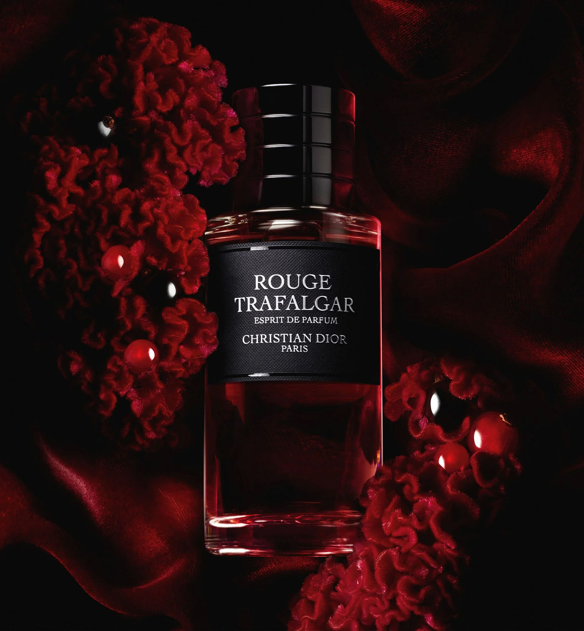 rouge trafalgar dior