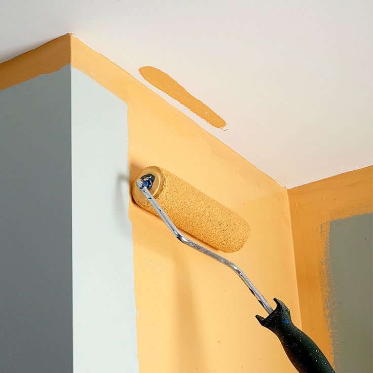 Painting & Renovation