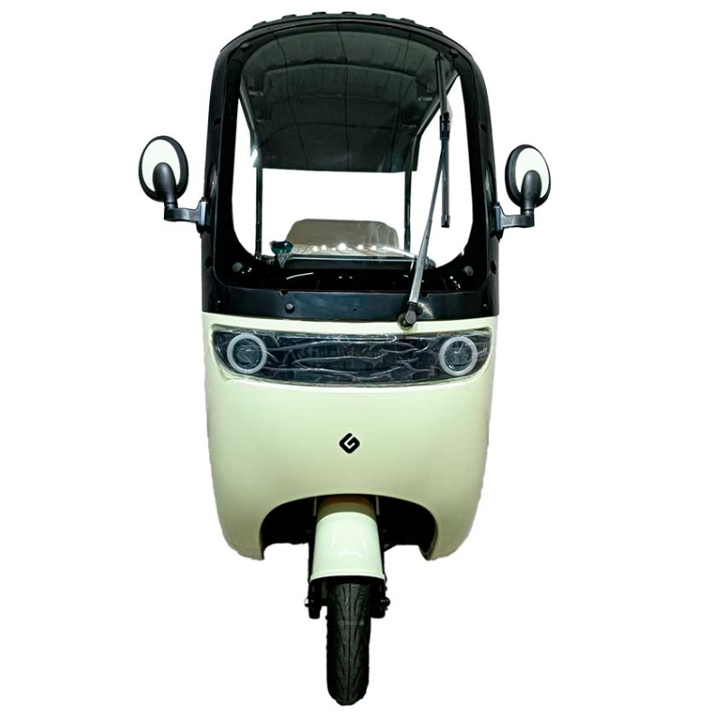 elektrik moto