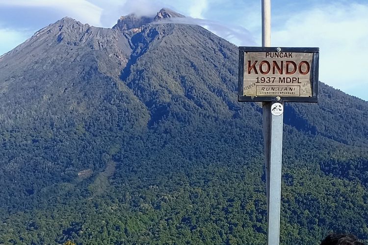 Kondo 1937 mdpl