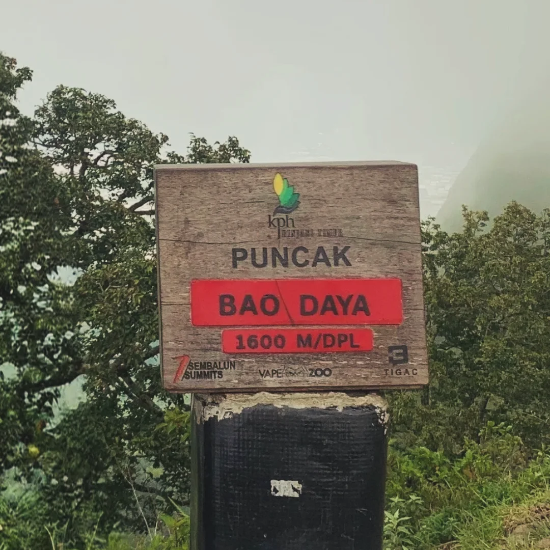 Bao daya 1600 mdpl