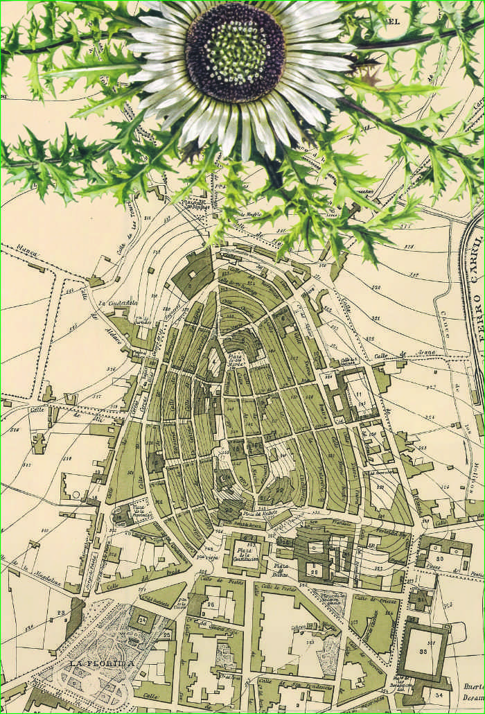 Plano Eguzkilore