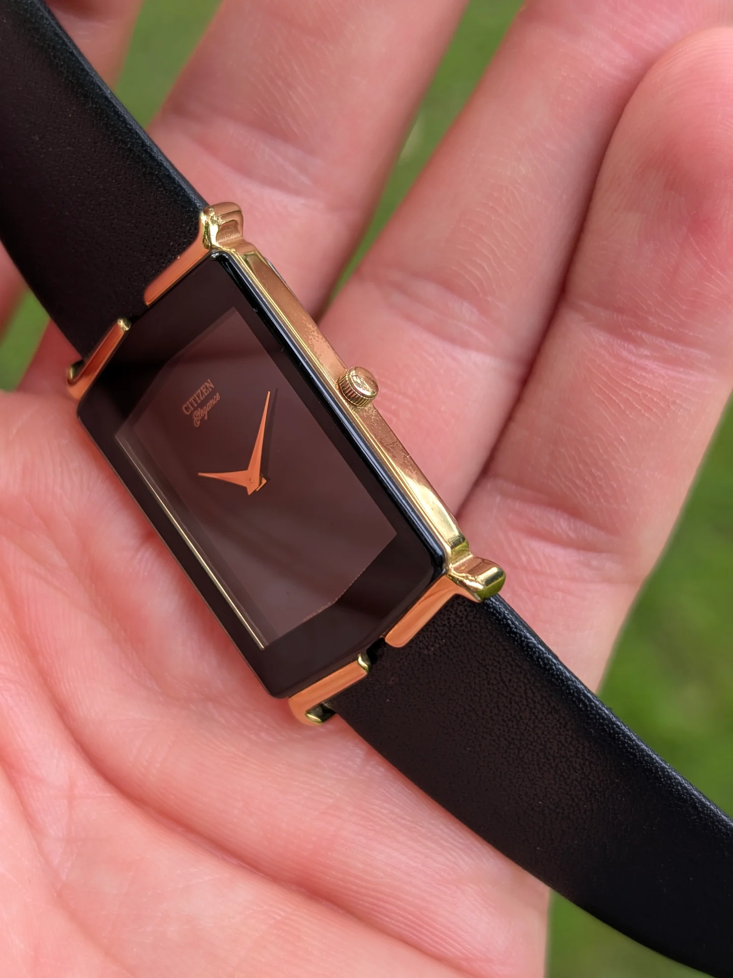Citizen Elegance