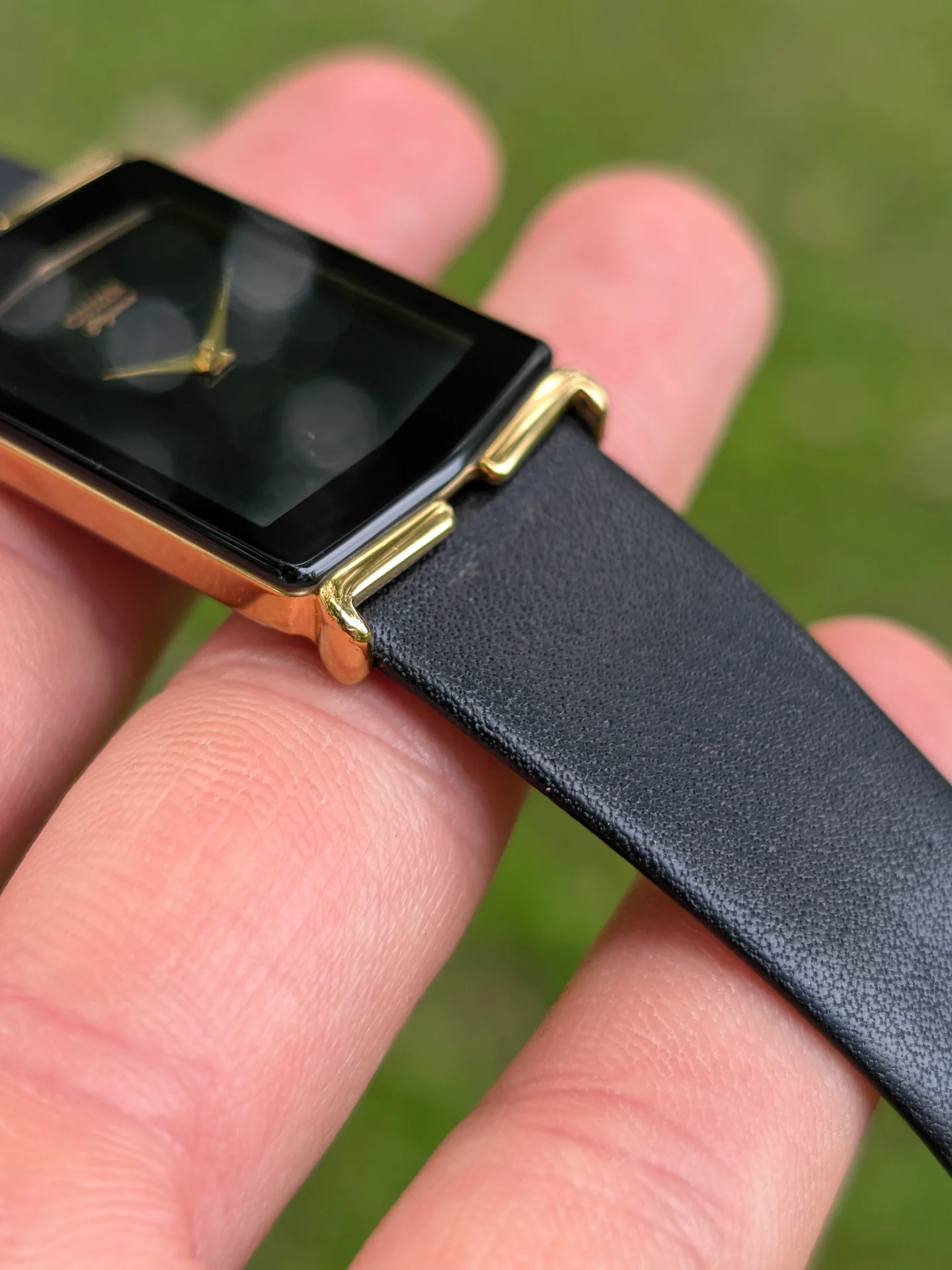 Citizen Elegance