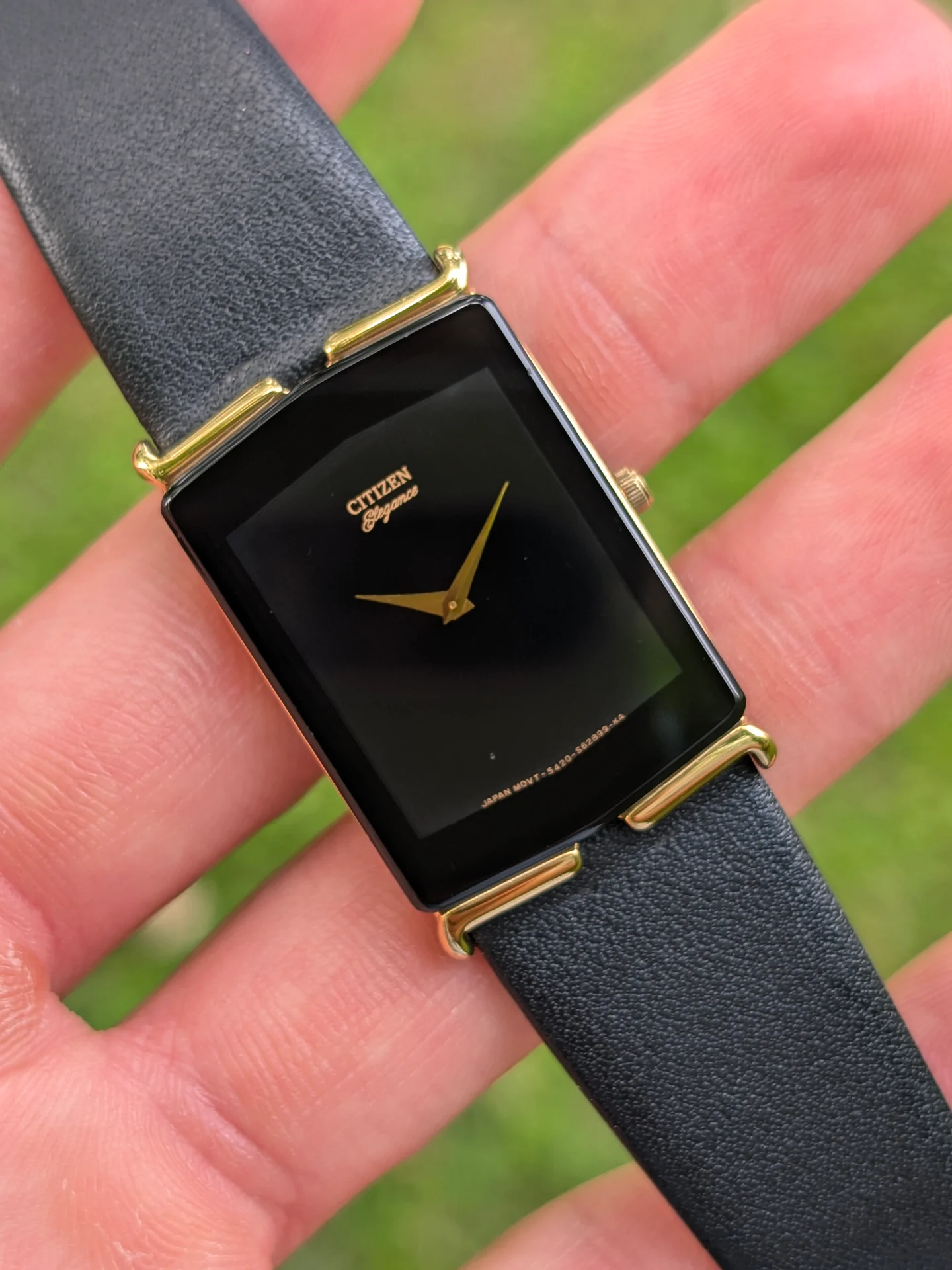 Citizen Elegance