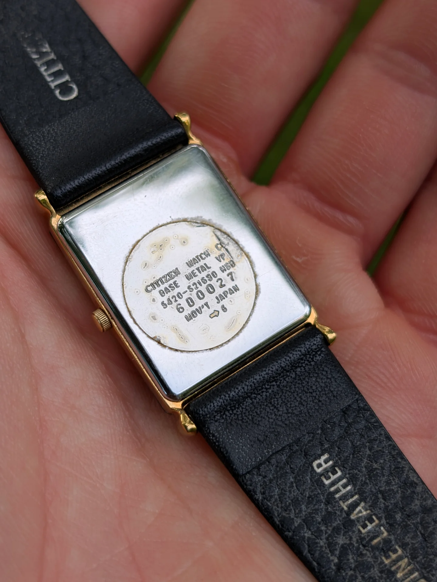 Citizen Elegance