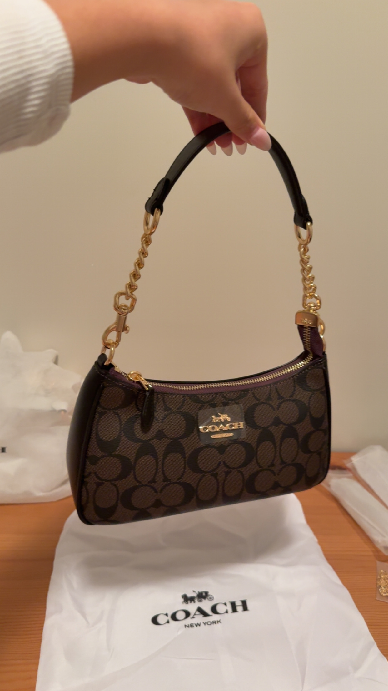 Coach Terri Purse