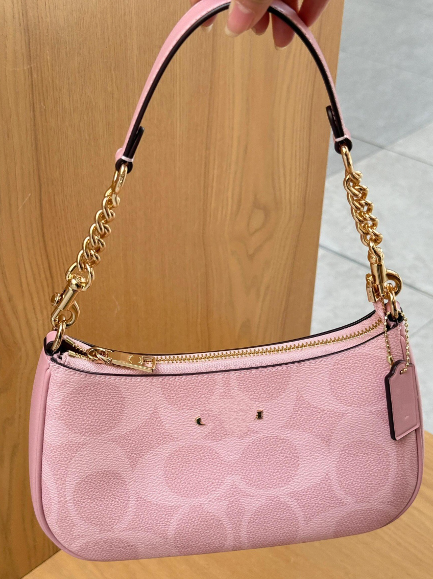 Coach Terri Purse