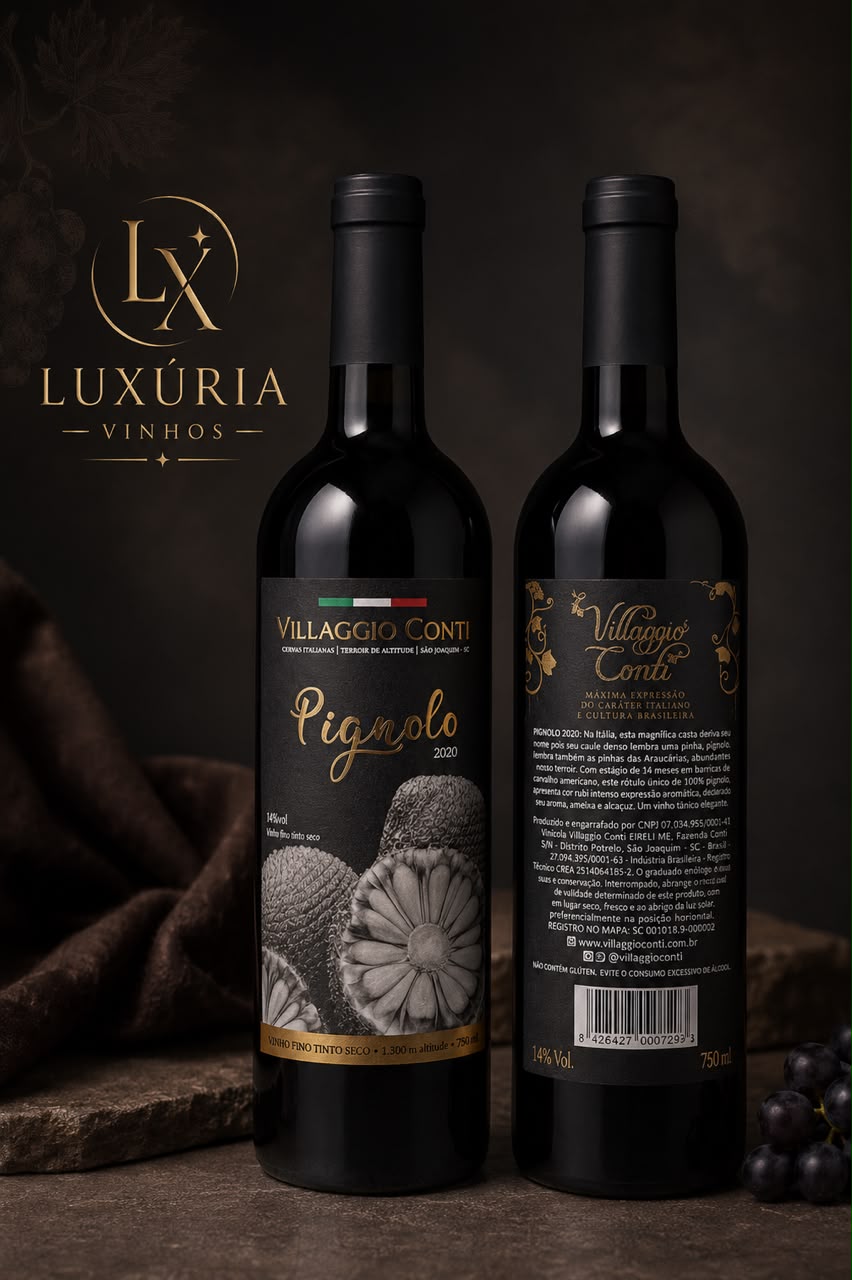 Vinho Villaggio Conti Pignolo 2020 Tinto Seco 750ml Raro