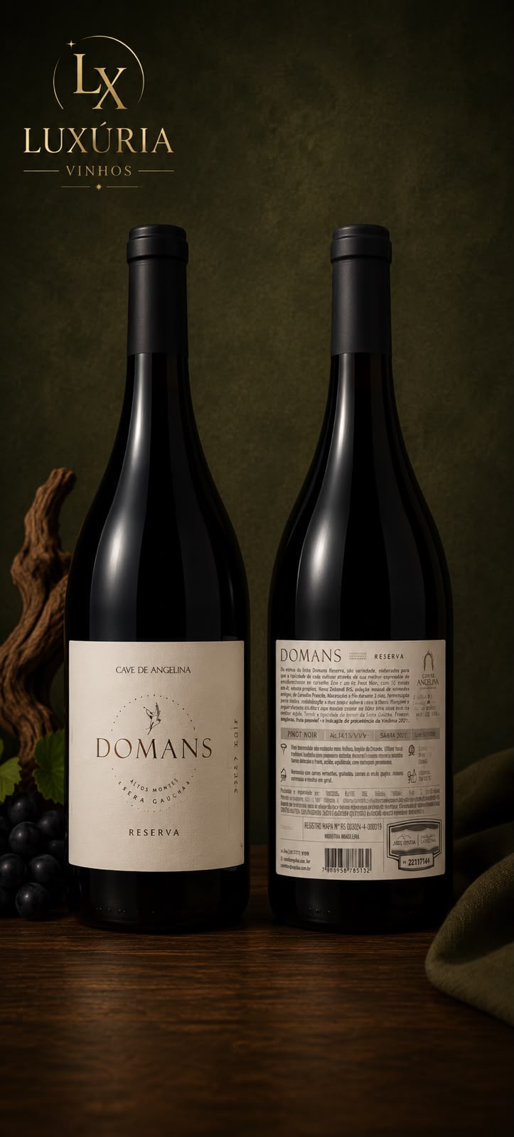 Vinho Domans Reserva Pinot Noir 2022 Cave De Angelina IP 750ml
