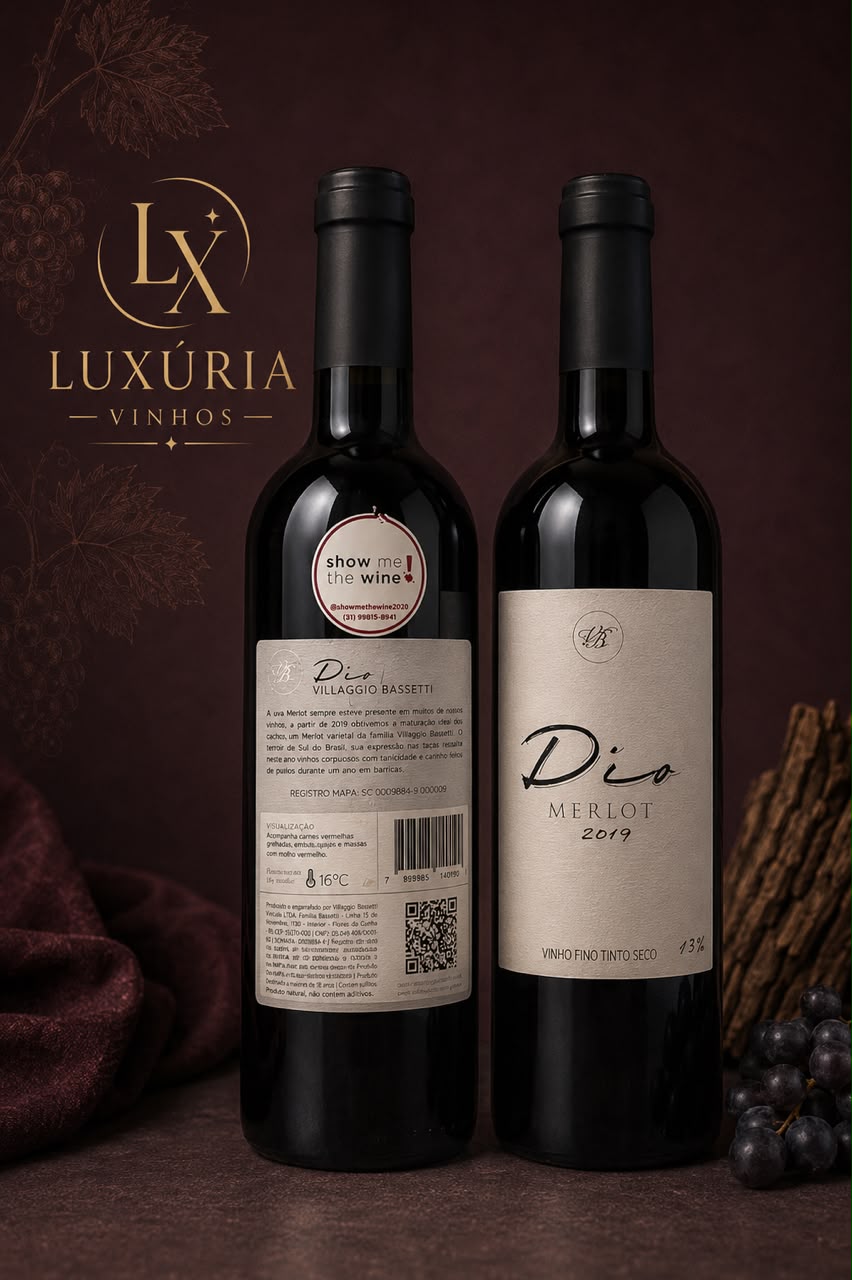 Vinho Villaggio Bassetti Dio Merlot 2019 Tinto Seco 750ml