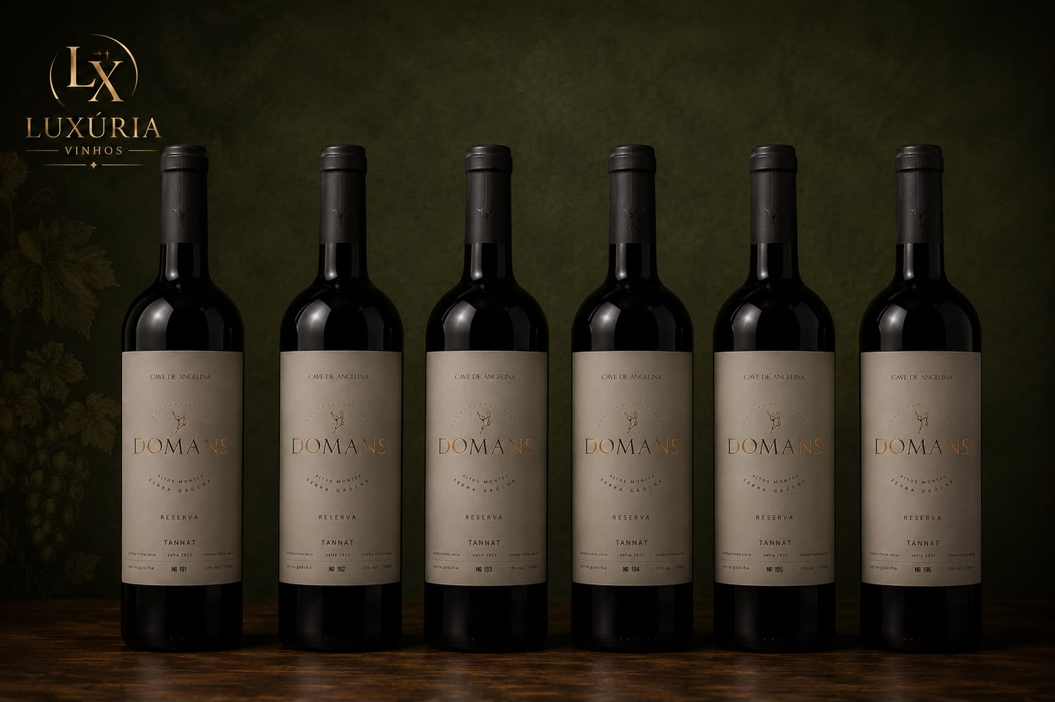 Domans Reserva Tannat 2021 – Kit Exclusivo com 6 Garrafas Sequenciais